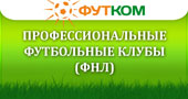 Профессиональные футбольные клубы (Первый дивизион)