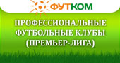Профессиональные футбольные клубы (Премьер-Лига)
