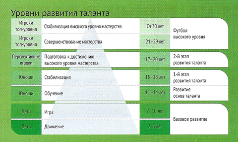 Маттиас Заммер - Программа развития футбольных талантов, Немецкий футбольный союз